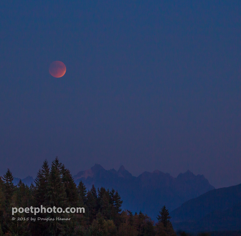 Blood moon-